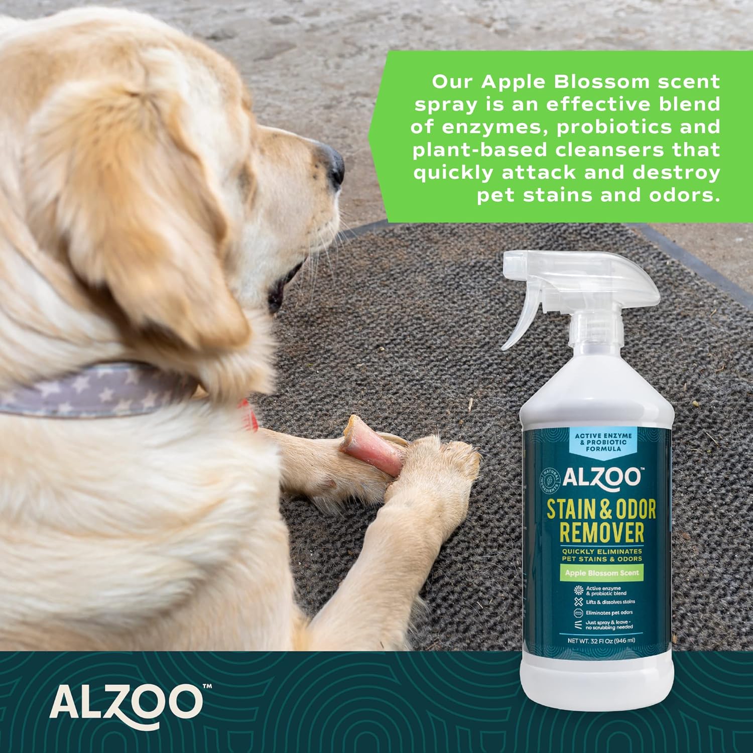 ALZOO Stain & Odor Remover, Quickly Lifts & Dissolves Pet Stains & Helps Eliminate Odors, 100%