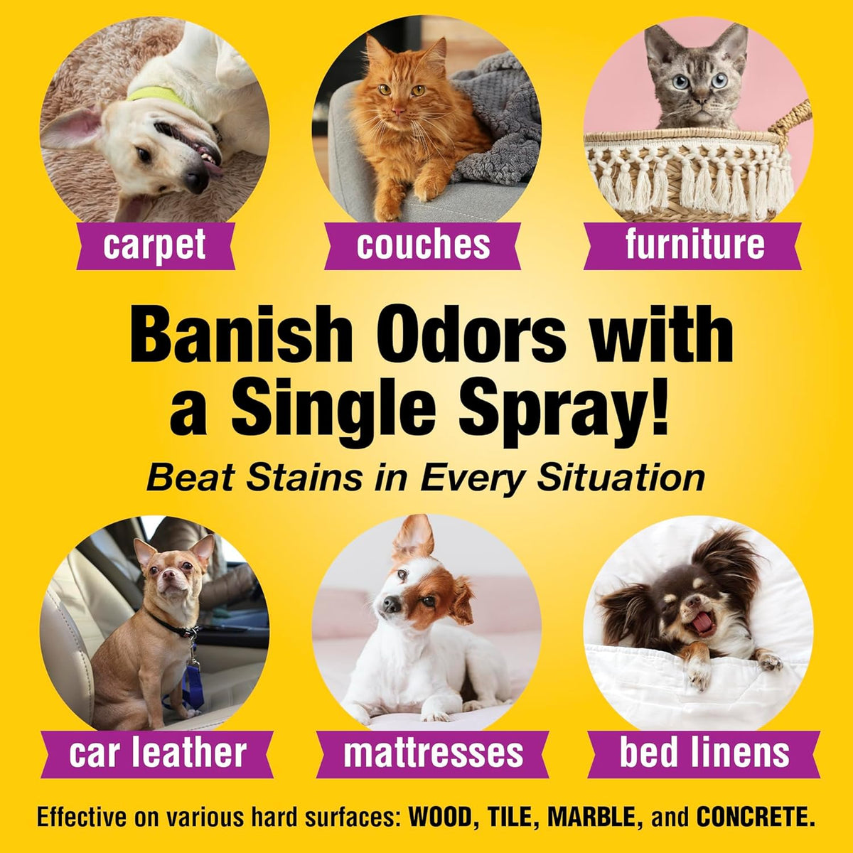 Pet Carpet Cleaner & Urine Odor Eliminator for Strong Odor - 32oz Enzyme Cleaning Spray for Cat &