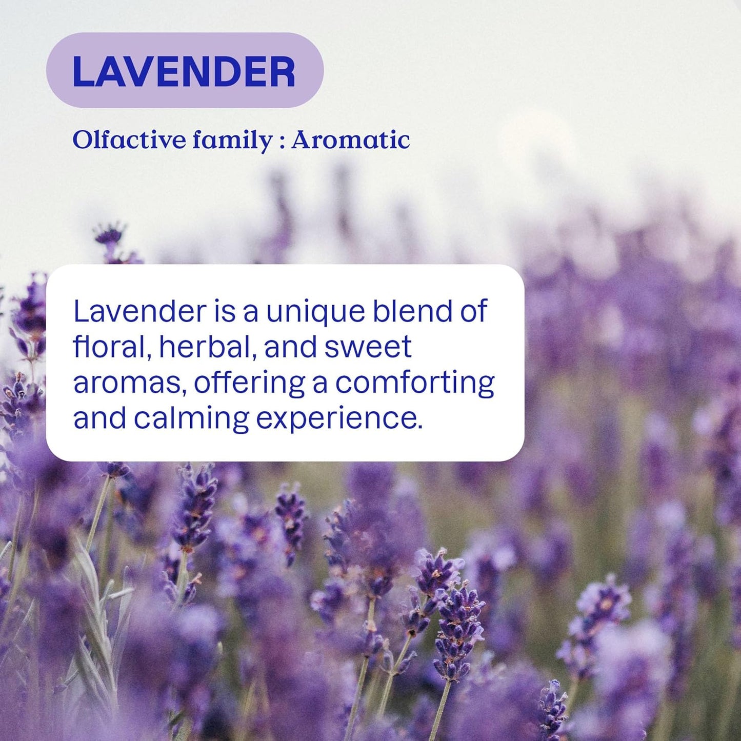 ATTITUDE Liquid Laundry Detergent, EWG Verified, HE Compatible, Plant-Based & Vegan, Natural