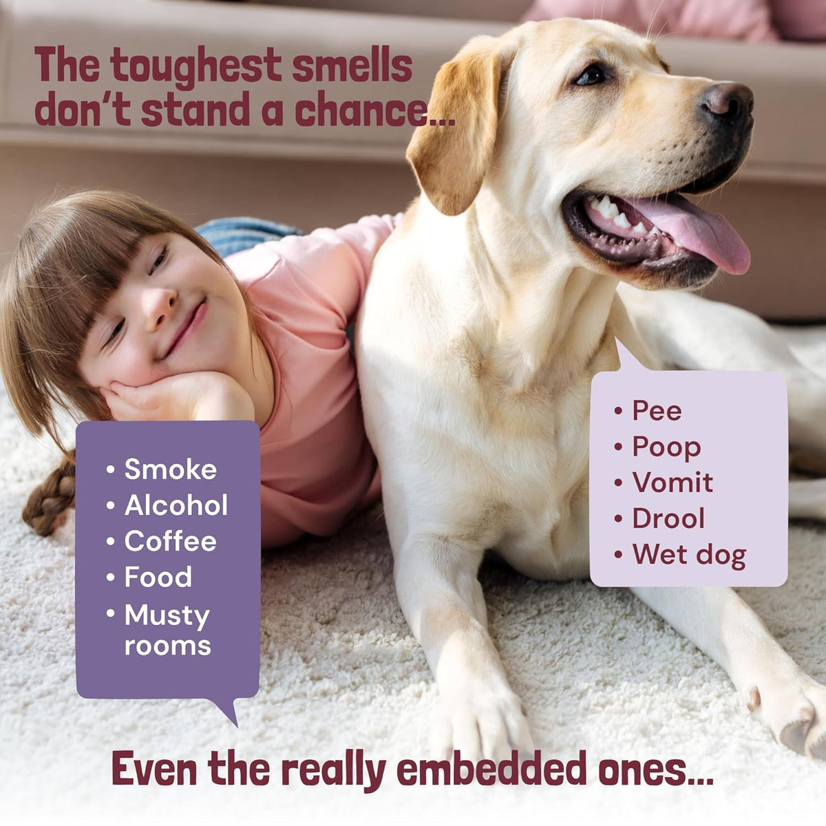 Sunny & Honey Carpet Freshener Powder - 20 Oz Pack, Wildberry Scent - Carpet Deodorizer Powder &