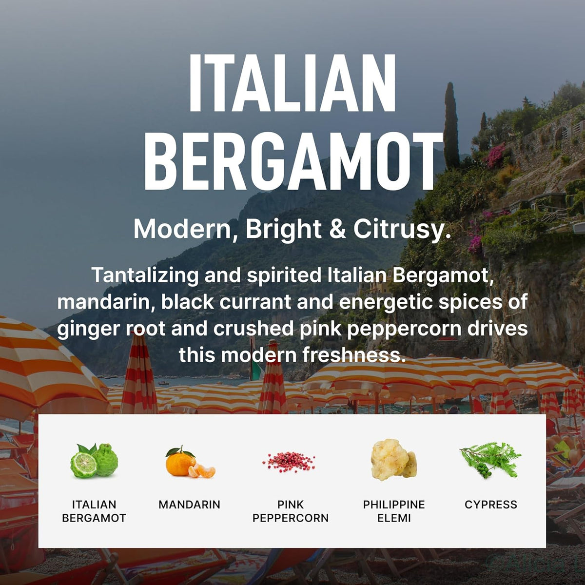 Laundry Sauce Fabric Refresher Spray Italian Bergamot, Odor-Fighting Fabric Refresher, Fragrance