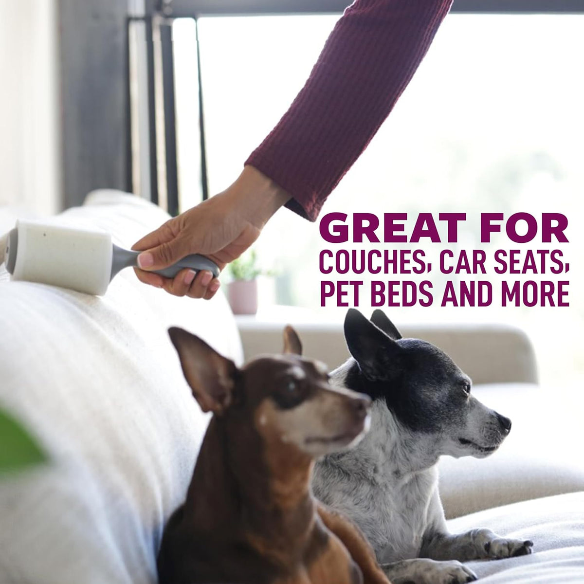 Scotch-Brite Pet Hair Pickup Extra Sticky Lint Roller, Designed for Removing Fur + Fluff on