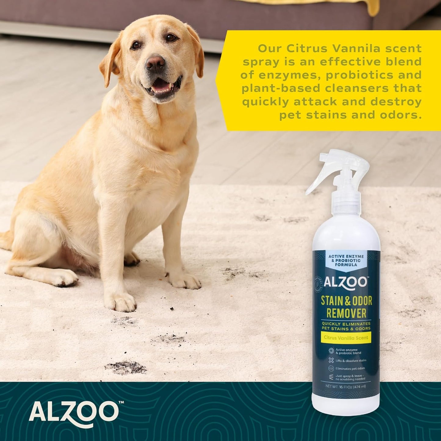 ALZOO Stain & Odor Remover, Quickly Lifts & Dissolves Pet Stains & Helps Eliminate Odors, 100%