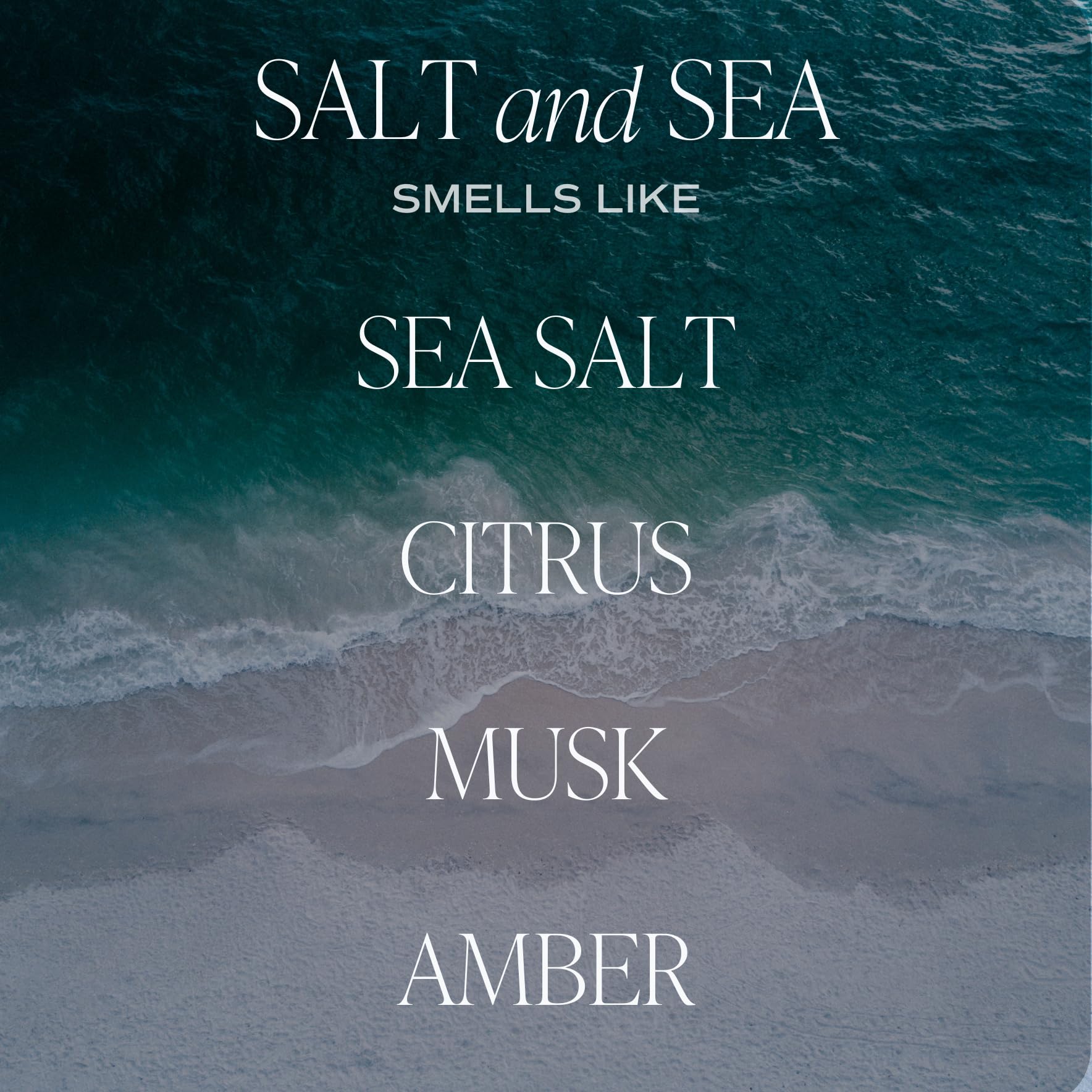 Sweet Water Decor Salt & Sea Reed Diffuser Set - Sea Salt Citrus & Musk Amber Scent Diffuser - Reed