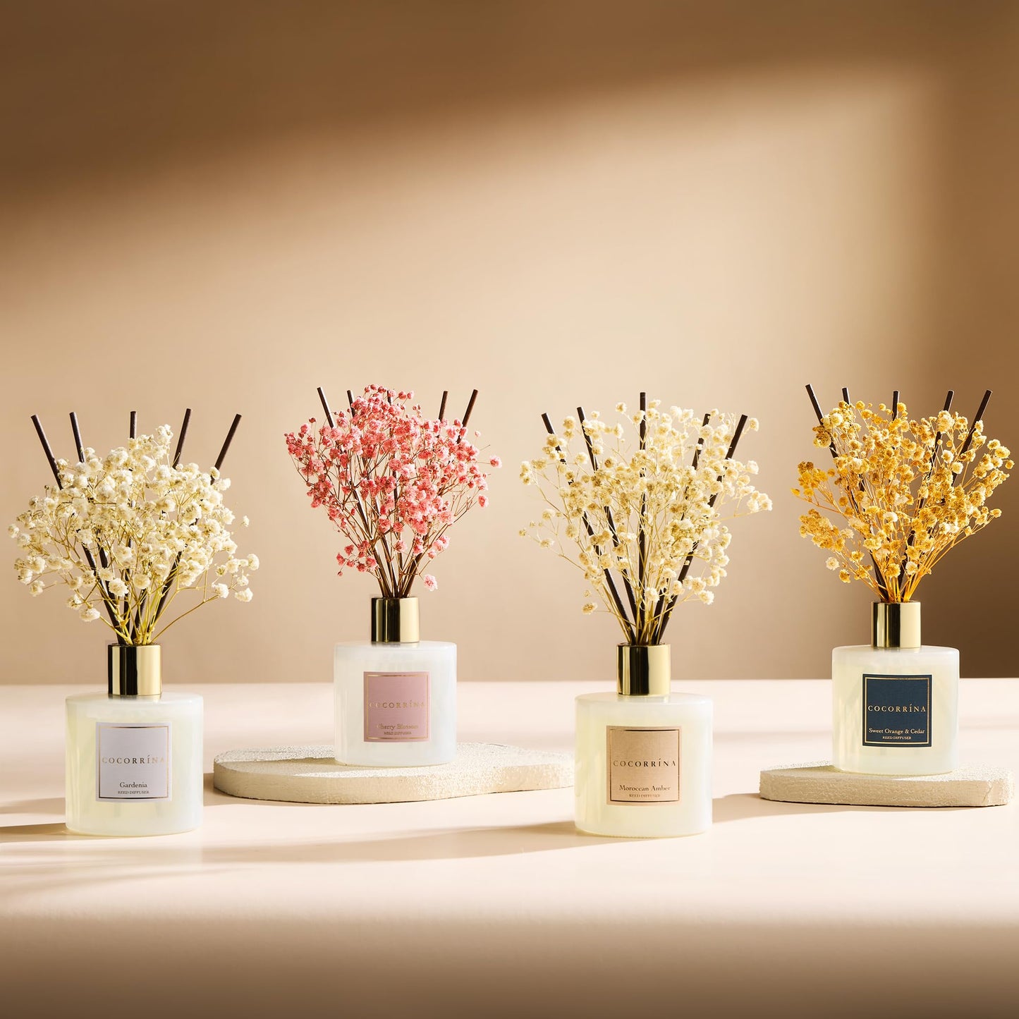 Cocorrína Premium Reed Diffuser Set with Preserved Baby's Breath & Cotton Stick Sandalwood Rose |
