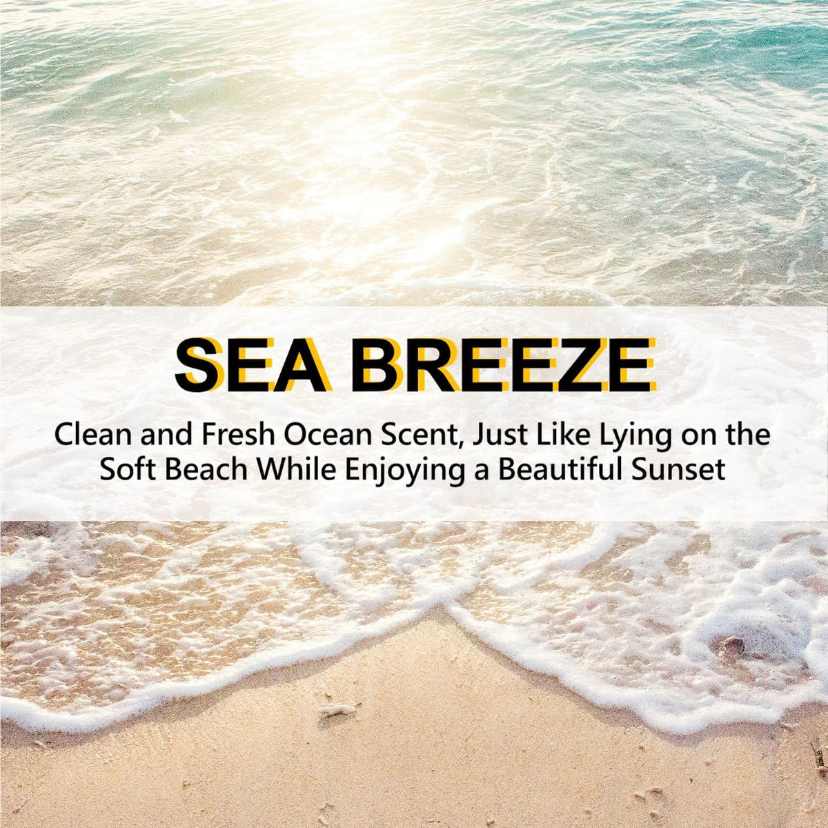 ROSE COTTAGE Large 12 Packs Sea Breeze Hanging Closet Deodorizer Air Freshener Long Lasting Scented