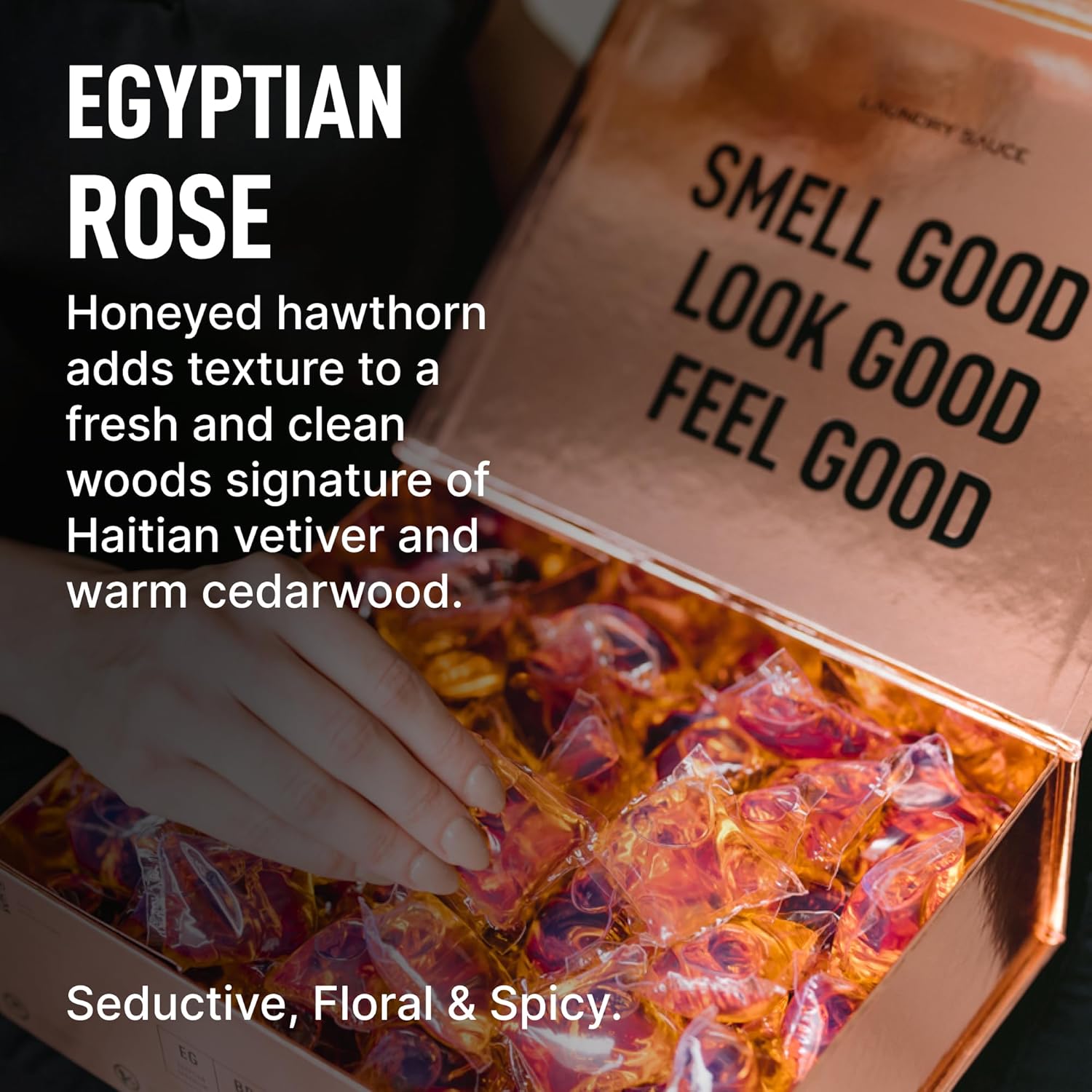 Laundry Sauce - Signature Bundle Egyptian Rose, Scented Laundry Detergent Pods & Scent Booster