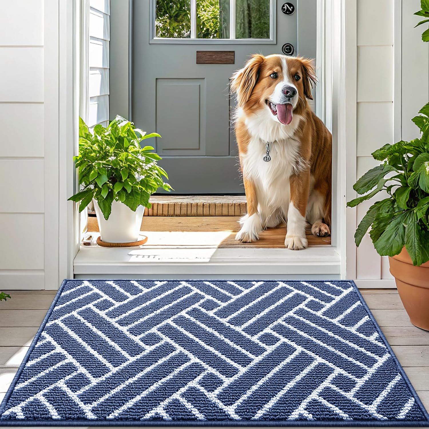 OLANLY Large Indoor Door Mat, 59x35 Inch, Dirt Resistant and Absorbent, Non-Slip Rubber Backing