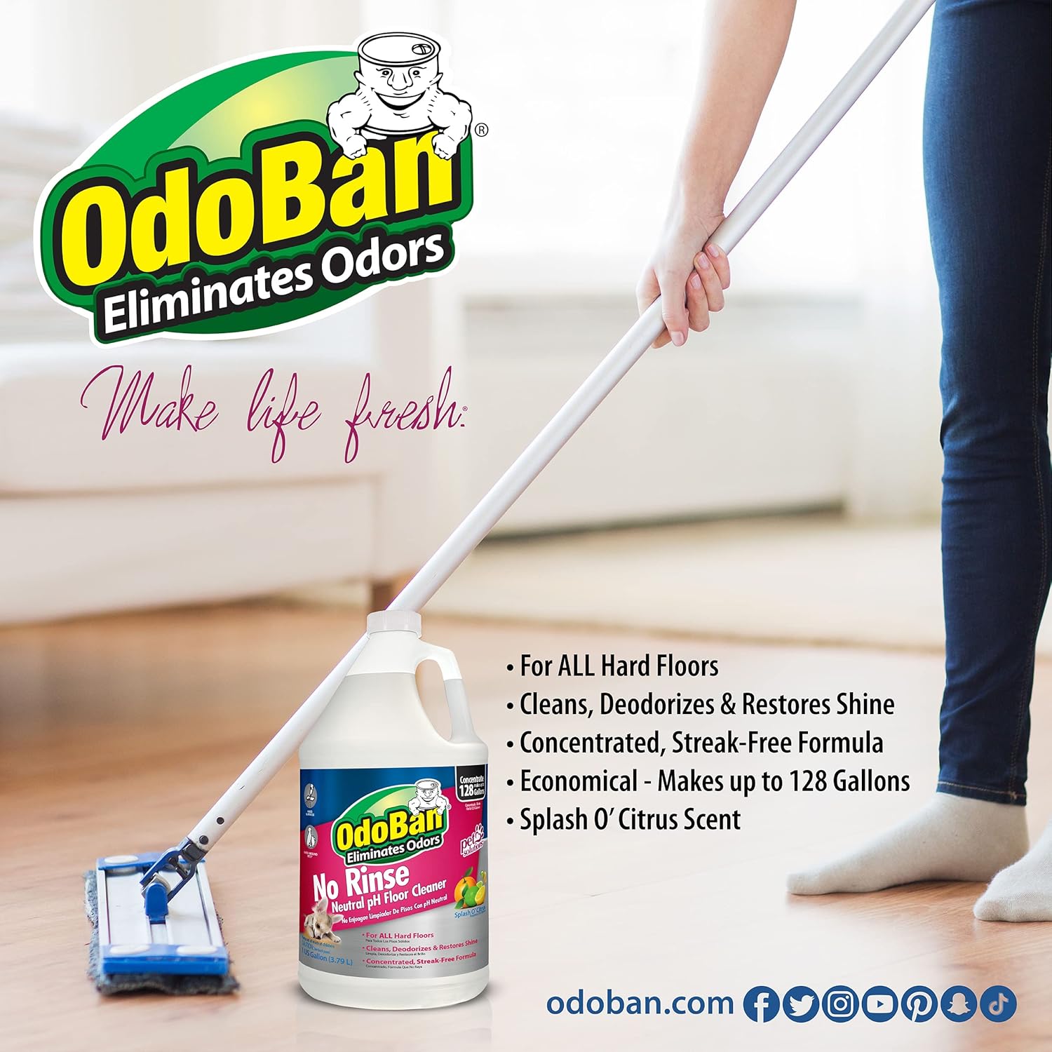 OdoBan Pet Solutions No Rinse Neutral pH Floor Cleaner Concentrate, Made in the USA, Splash O'