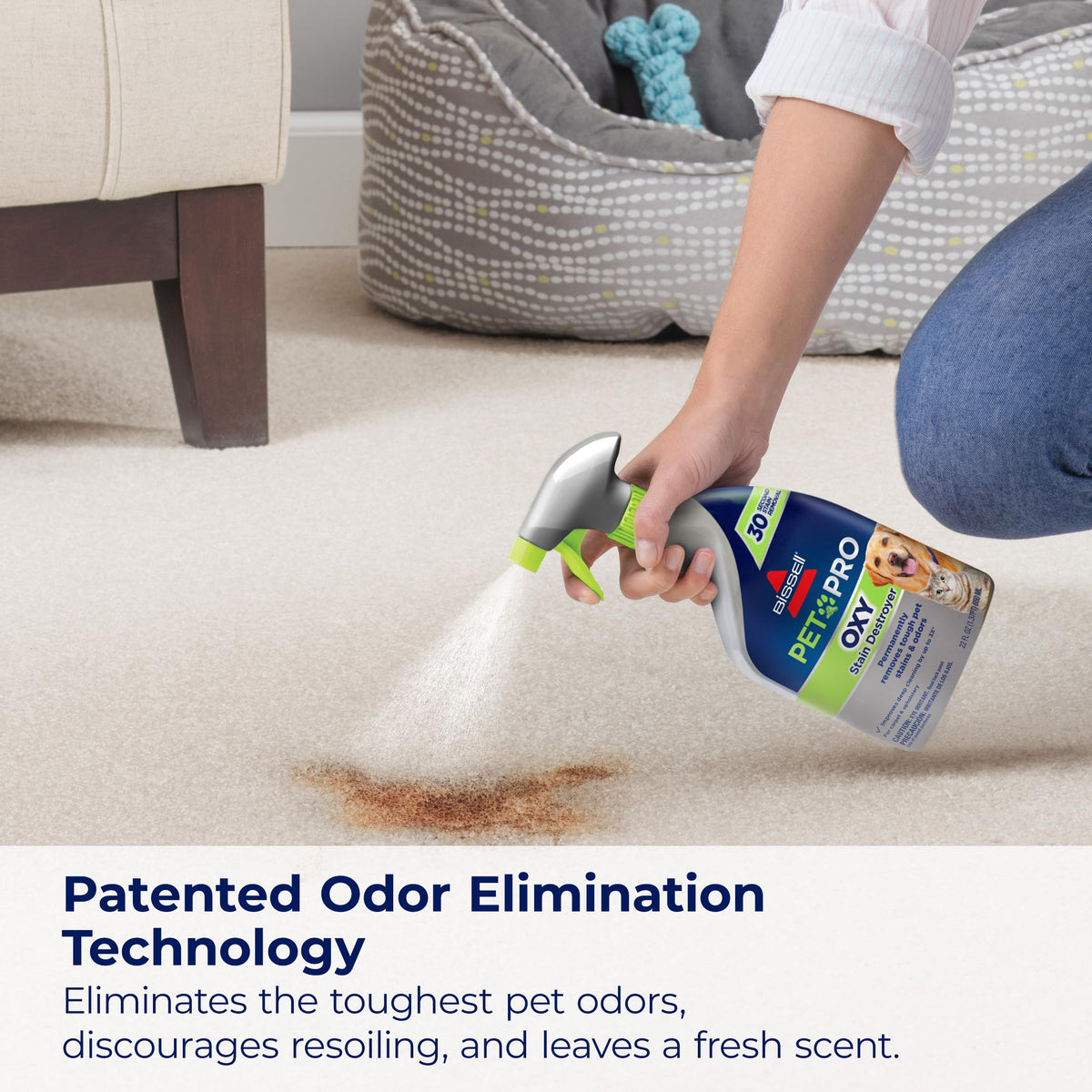 Bissell PET PRO OXY Stain Destroyer for Carpet and Upholstery, 22 oz, 2 pack, 17739