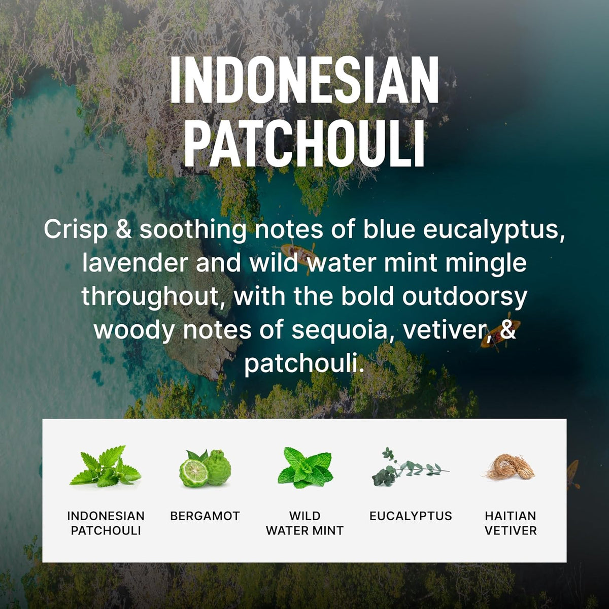 Laundry Sauce - Signature Bundle Indonesian Patchouli, Scented Laundry Detergent Pods & Scent