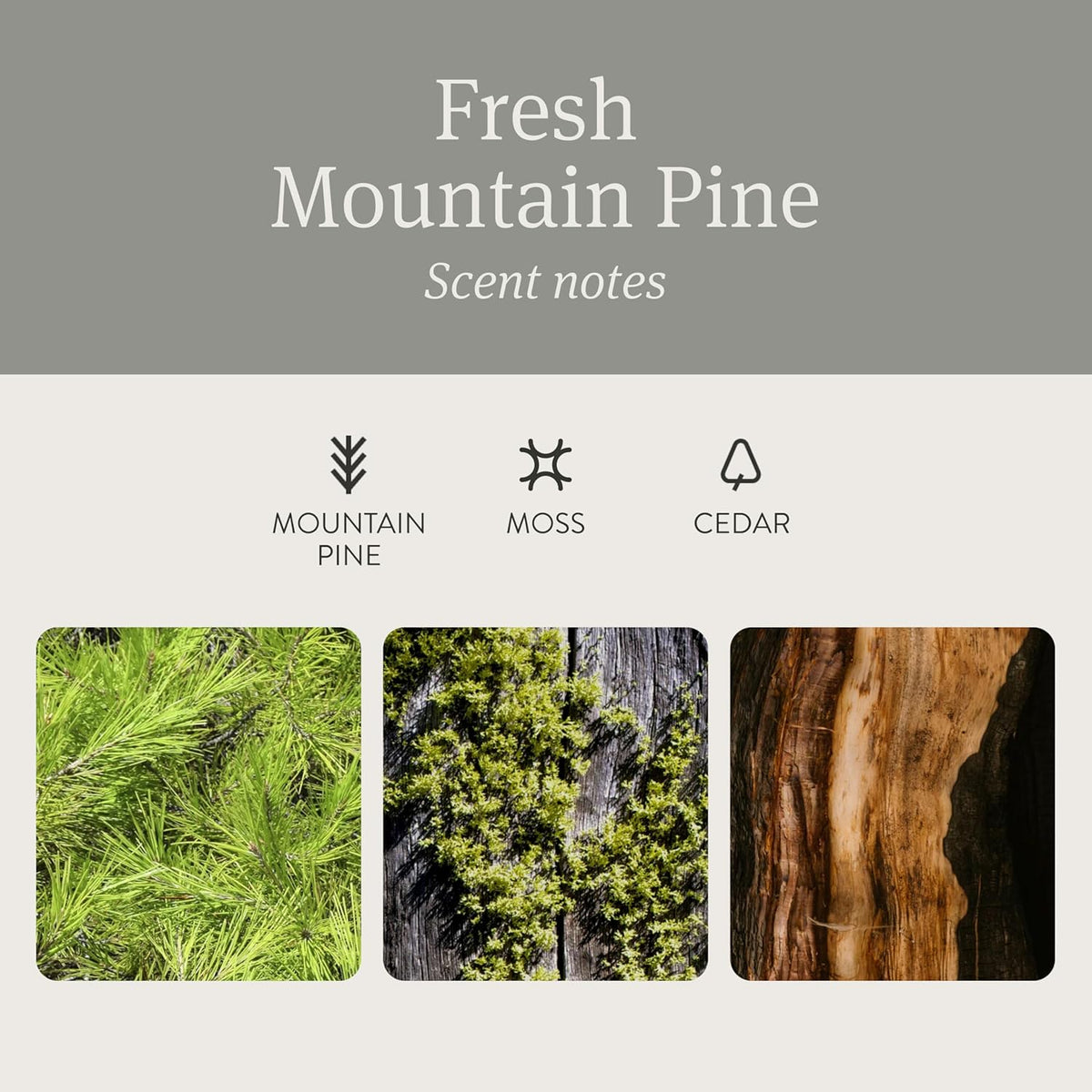 Drift Car Air Freshener - Stone Air Freshener Starter Set - Car Odor Eliminator - Pine Scent
