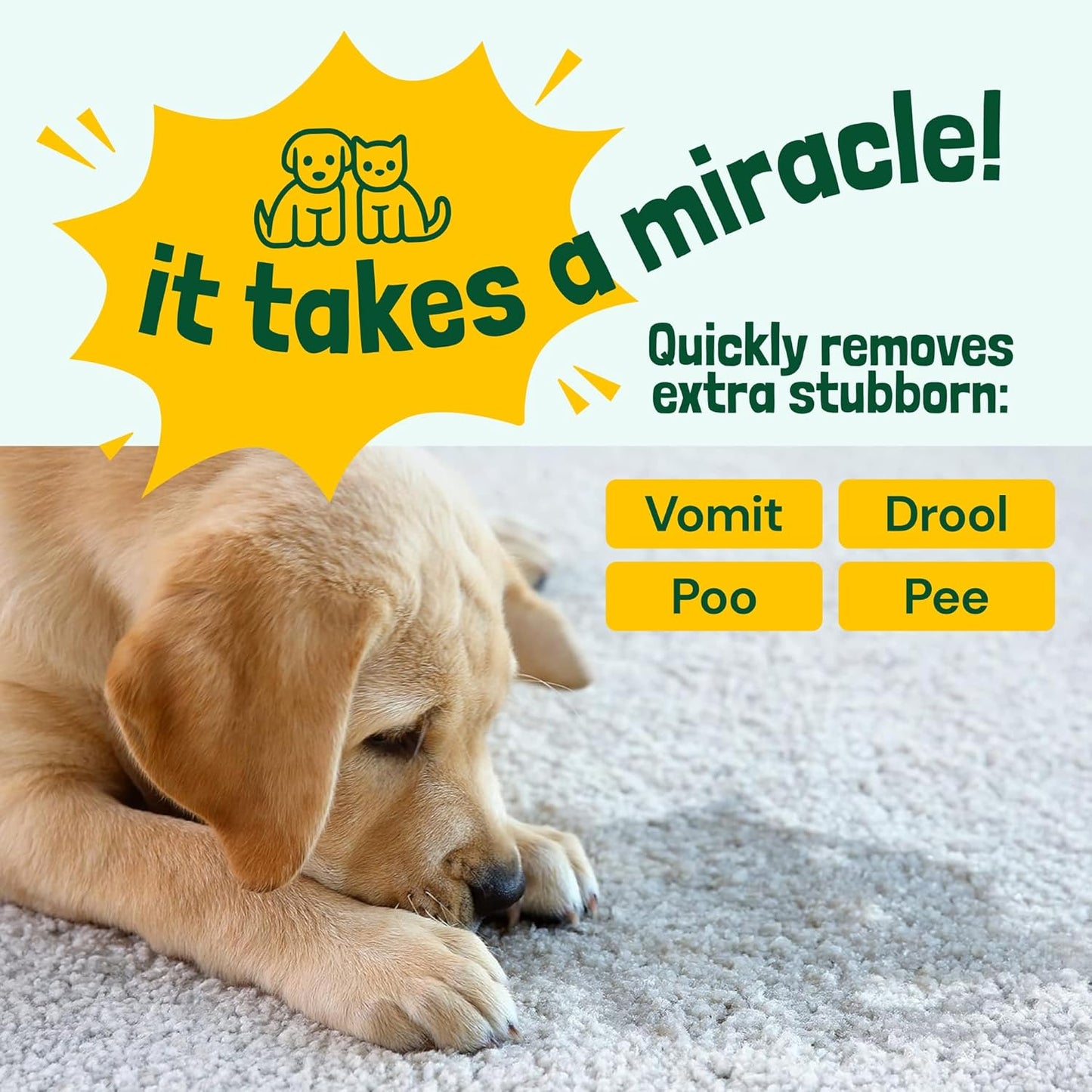 Sunny & Honey Pet Stain & Odor Miracle - Turbo Charged, 32 Fl Oz, Spring Mint - Carpet Shampooer