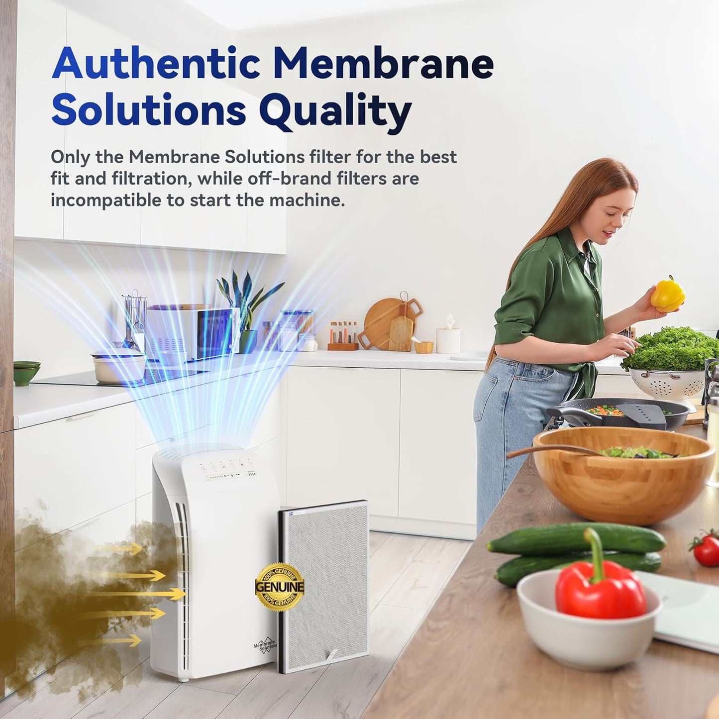 Membrane Solutions MSA3/MSA3S Genuine Smoke Removal Air Purifier Filter Replacement 2 Pack