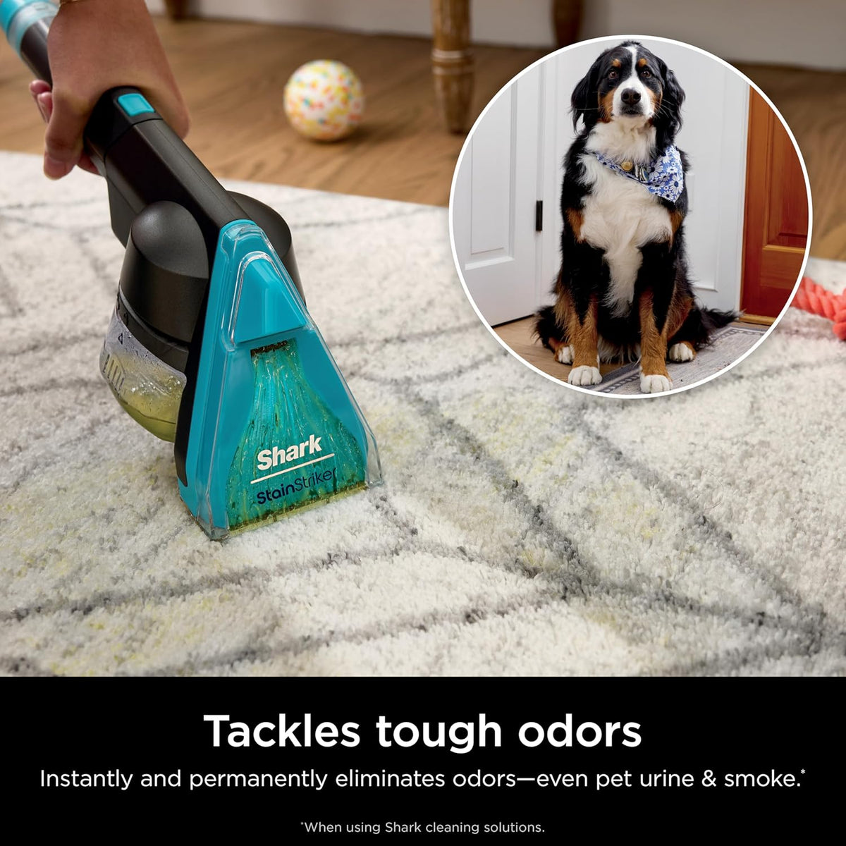 Shark CarpetXpert HairPro with StainStriker, Upright Carpet, Area Rug & Upholstery Cleaner, Perfect