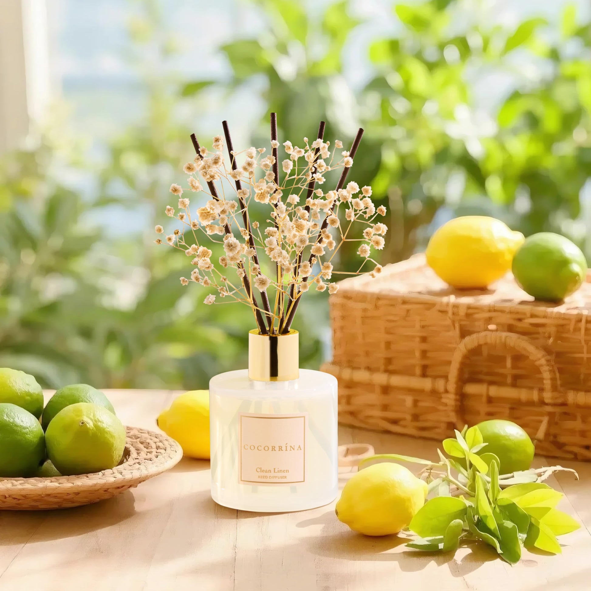 Cocorrína Reed Diffuser Set, Clean Linen 6.7 fl oz Scented Diffuser with Sticks Home Fragrance Reed