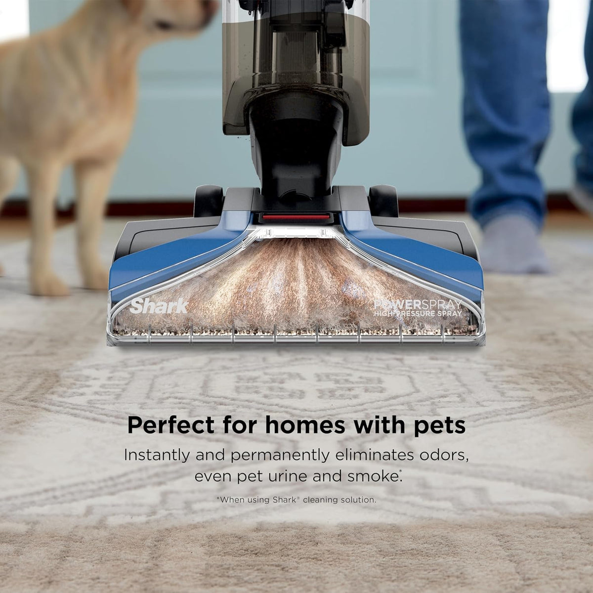 Shark CarpetXpert Upright Carpet & Area Rug Cleaner, Perfect for Pets, Lightweight & Powerful