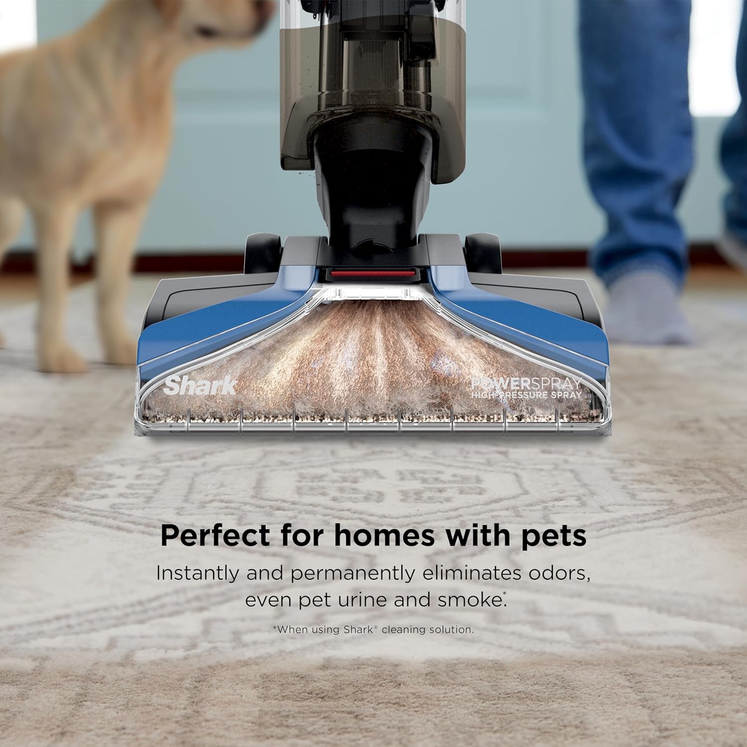 Shark CarpetXpert Upright Carpet & Area Rug Cleaner, Perfect for Pets, Lightweight & Powerful
