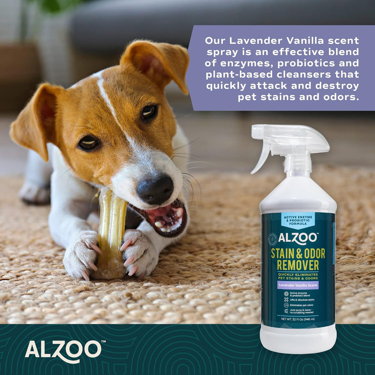 ALZOO Stain & Odor Remover, Quickly Lifts & Dissolves Pet Stains & Helps Eliminate Odors, 100%