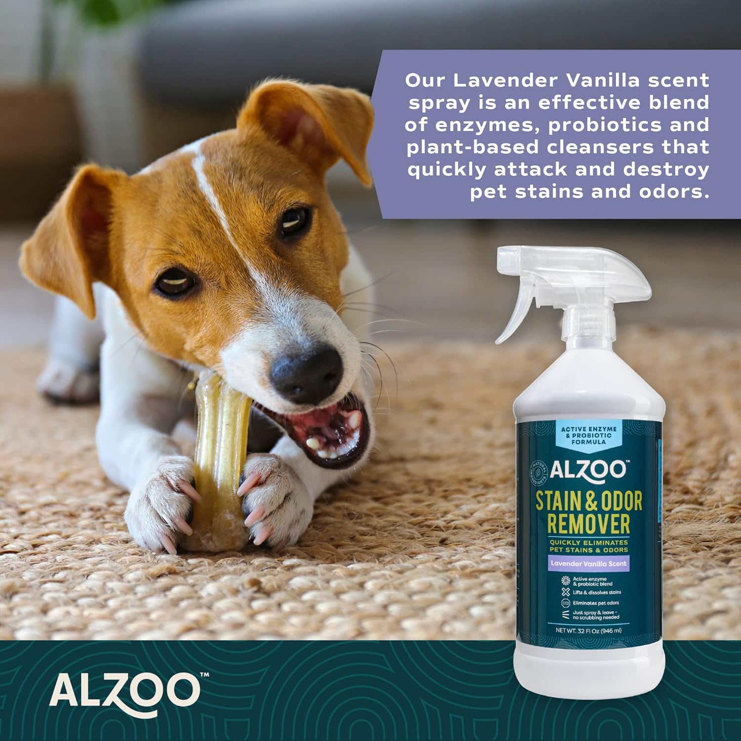ALZOO Stain & Odor Remover, Quickly Lifts & Dissolves Pet Stains & Helps Eliminate Odors, 100%