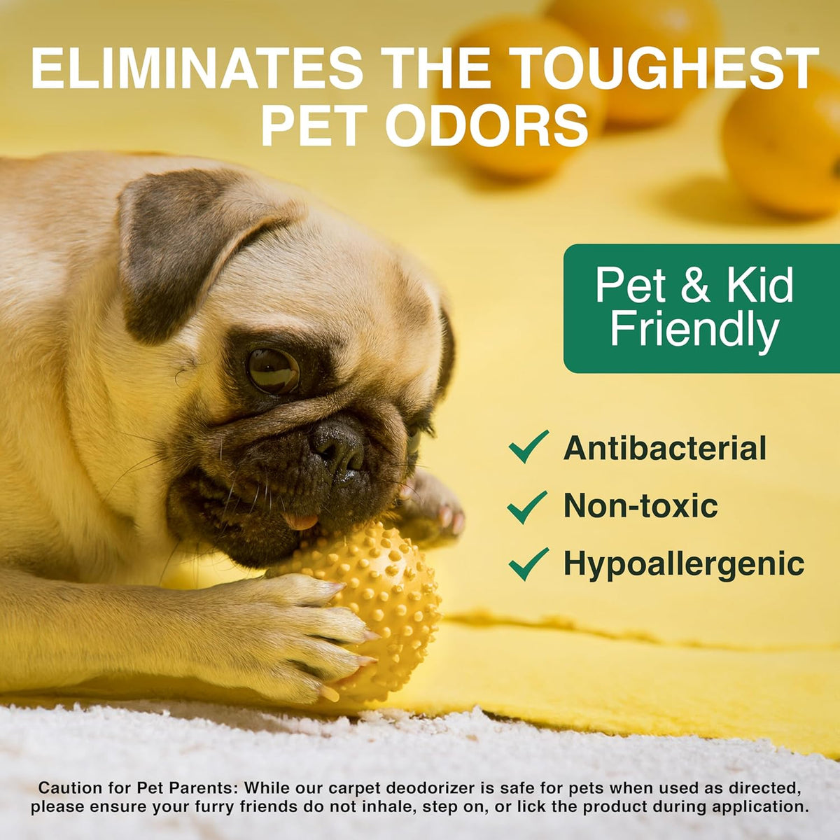 Good Natured Brand | Carpet Deodorizer & Freshener Powder | 31 oz Pet Odor Eliminator for Strong