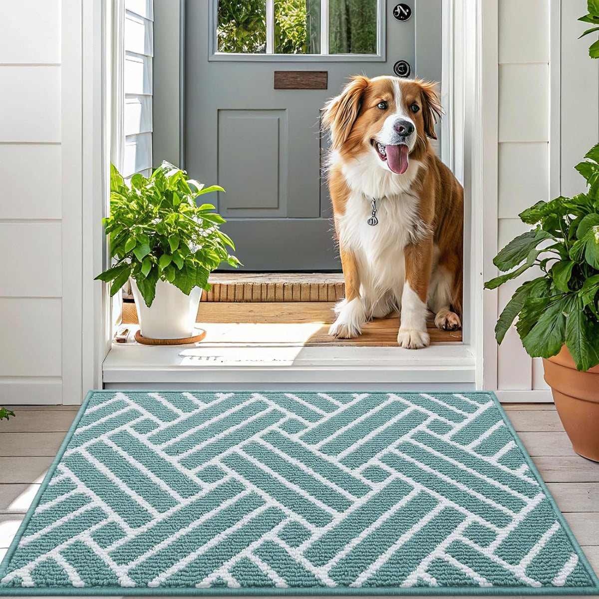 OLANLY Indoor Door Mat, 32x20 Inch, Dirt Resistant and Absorbent, Non-Slip Rubber Backing Floor