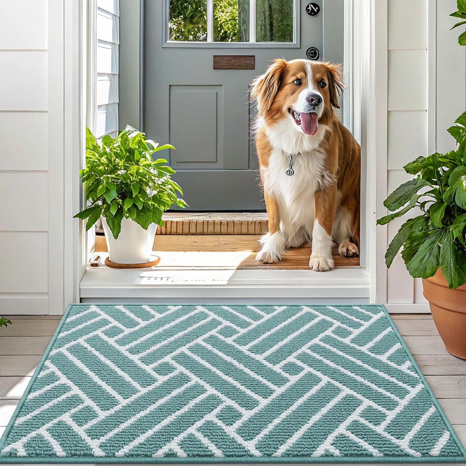 OLANLY Indoor Door Mat, 32x20 Inch, Dirt Resistant and Absorbent, Non-Slip Rubber Backing Floor