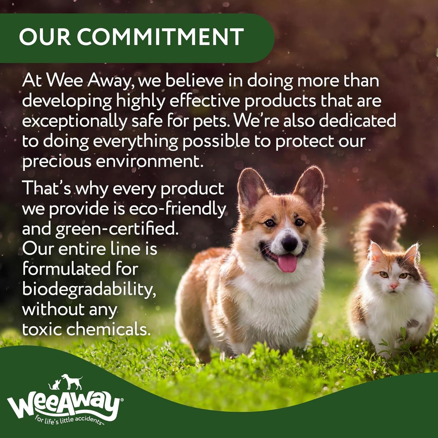 Wee Away X2 Ultra Concentrated Pet Stain and Odor Remover, Enzyme Cleaner for Cat Urine and Poop