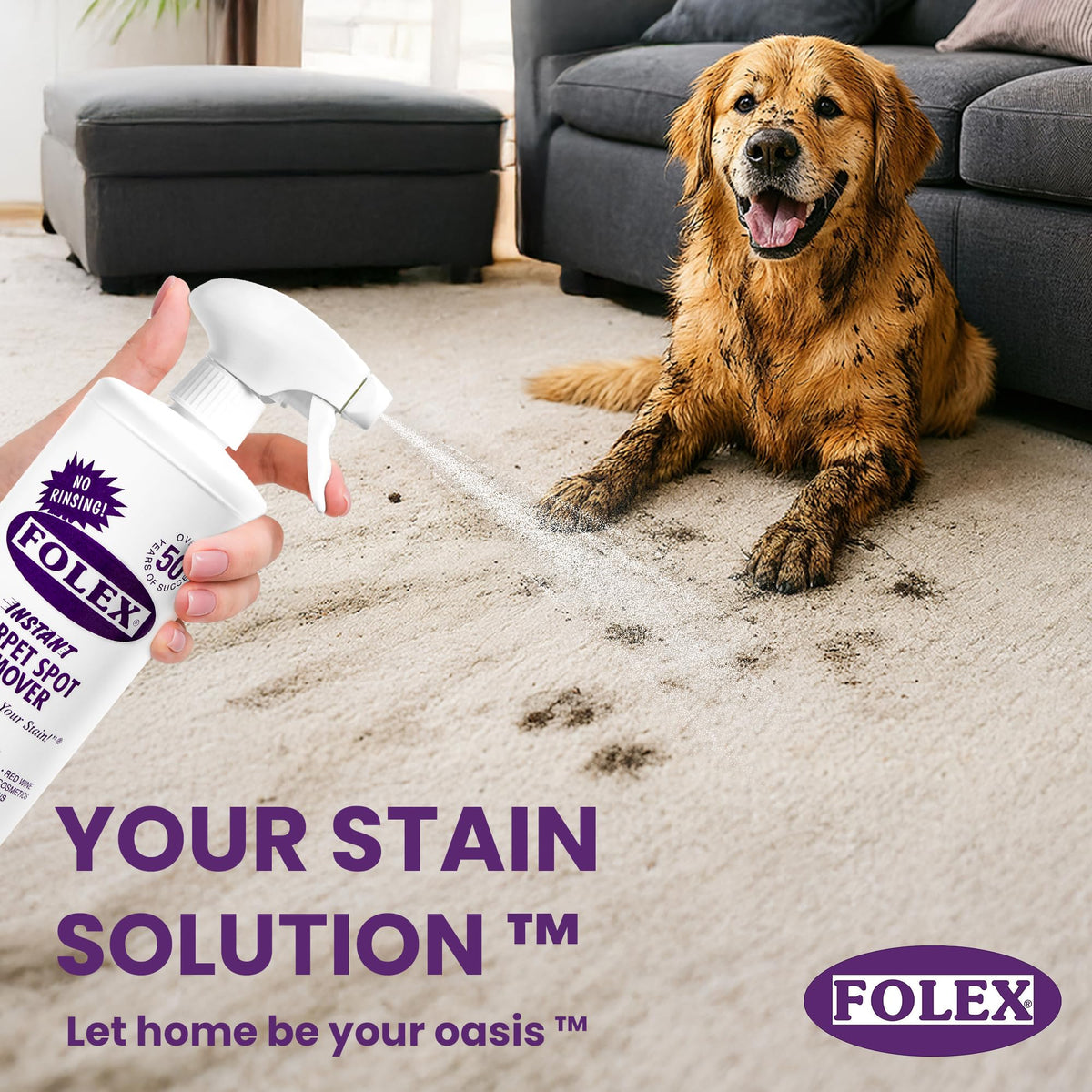 FOLEX Instant Carpet Spot Remover 32 oz – Powerful Stain Remover for Carpets, Upholstery & Rugs