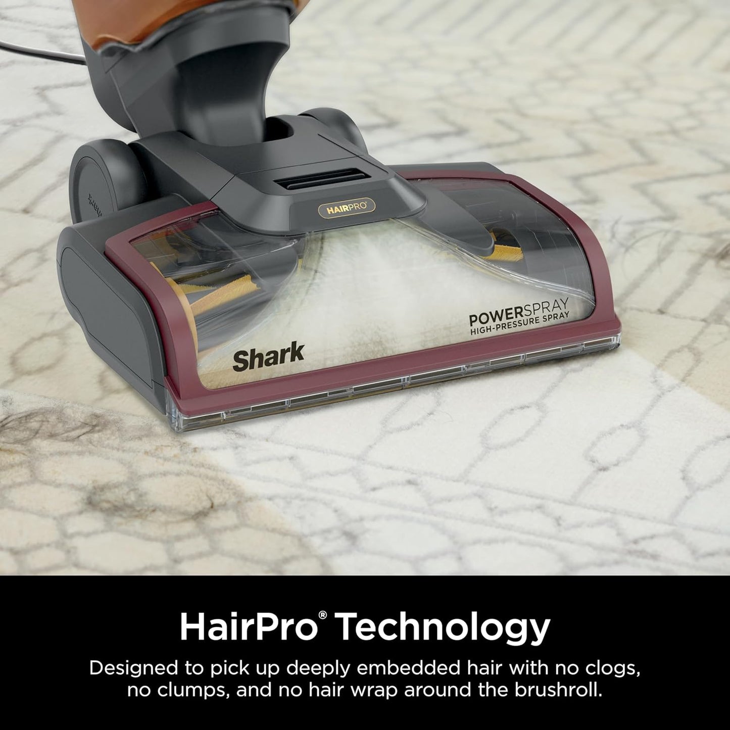 Shark CarpetXpert HairPro Upright Carpet Cleaner, Perfect for Pets, Lightweight & Powerful, Dirt