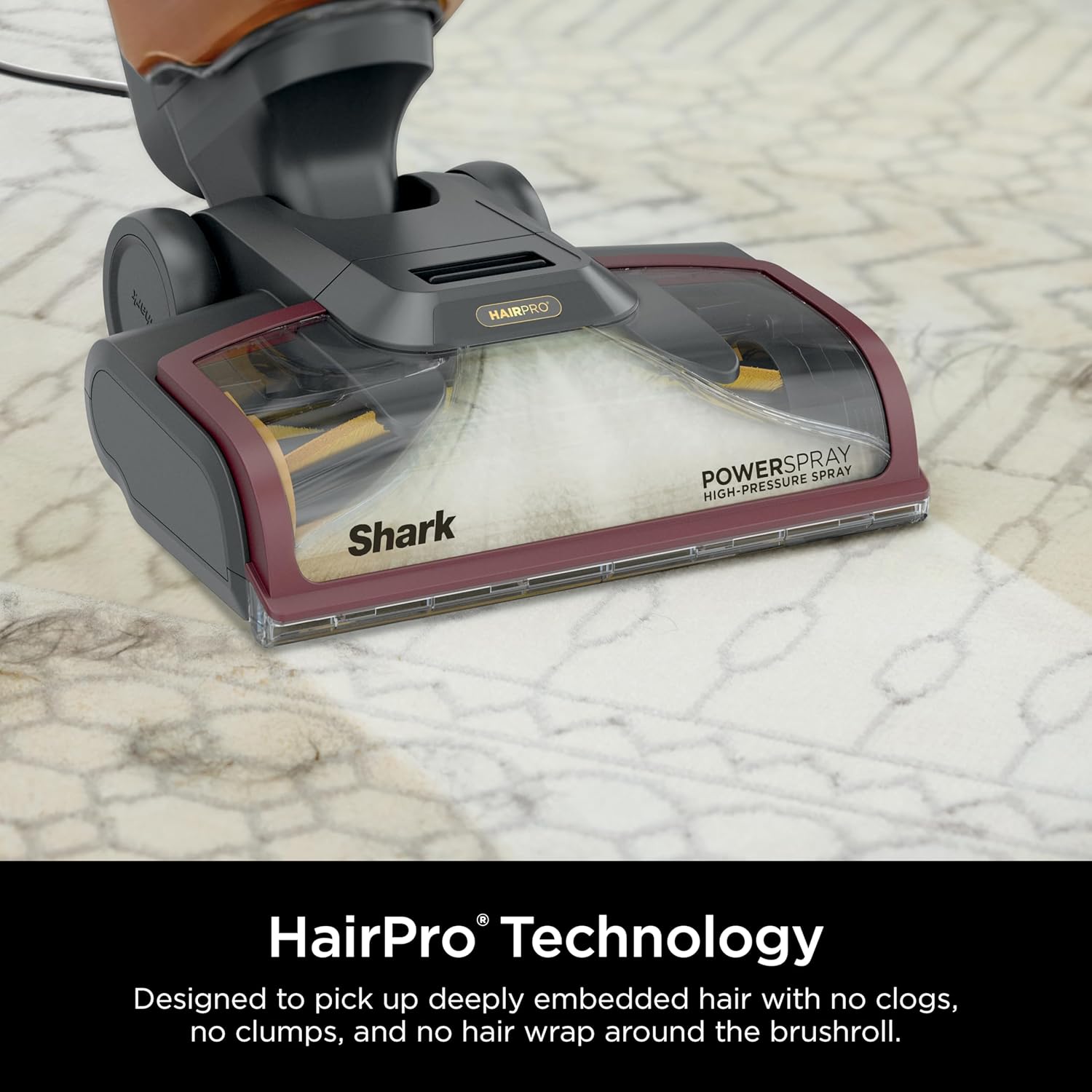 Shark CarpetXpert HairPro Upright Carpet Cleaner, Perfect for Pets, Lightweight & Powerful, Dirt