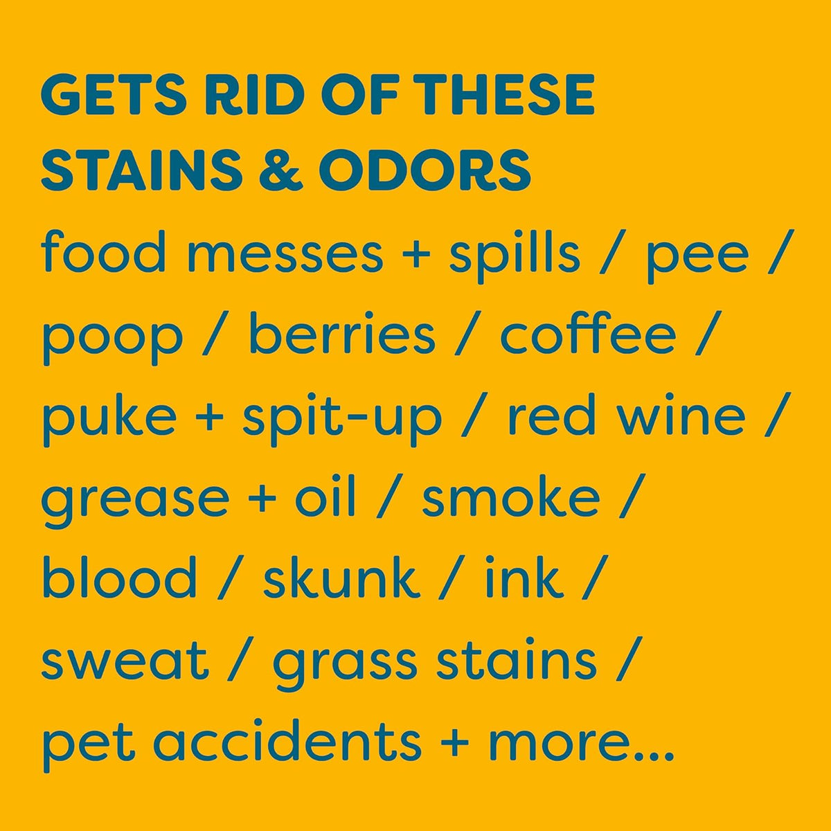 KIDS 'N' PETS Instant All-Purpose Stain & Odor Remover - Cleans Dog Pee, Cat Urine, Other Smells