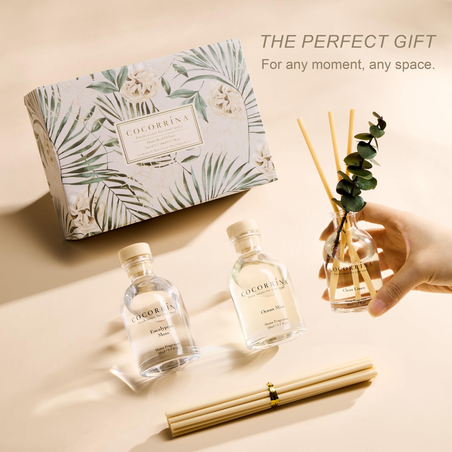 COCORRÍNA Eucalyptus Reed Diffuser Set of 3 - Eucalyptus & Moss, Clean Linen, Ocean Mist Scents