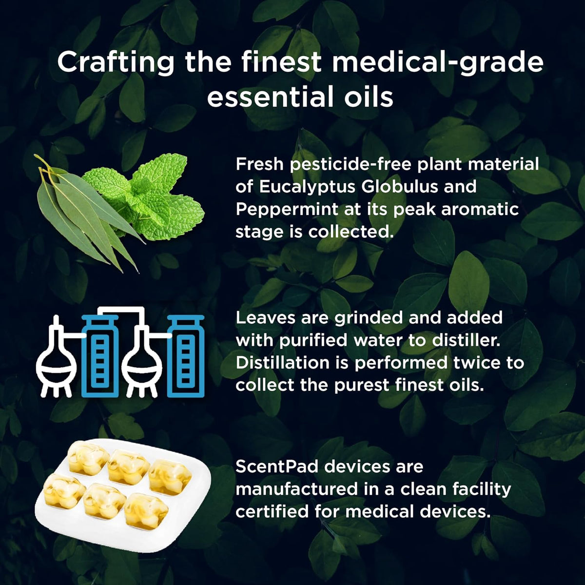 Mypurmist ScentPad Eucalyptus & Peppermint Vapor Pads - Vaporizer Refill Pad for Ultrapure Devices
