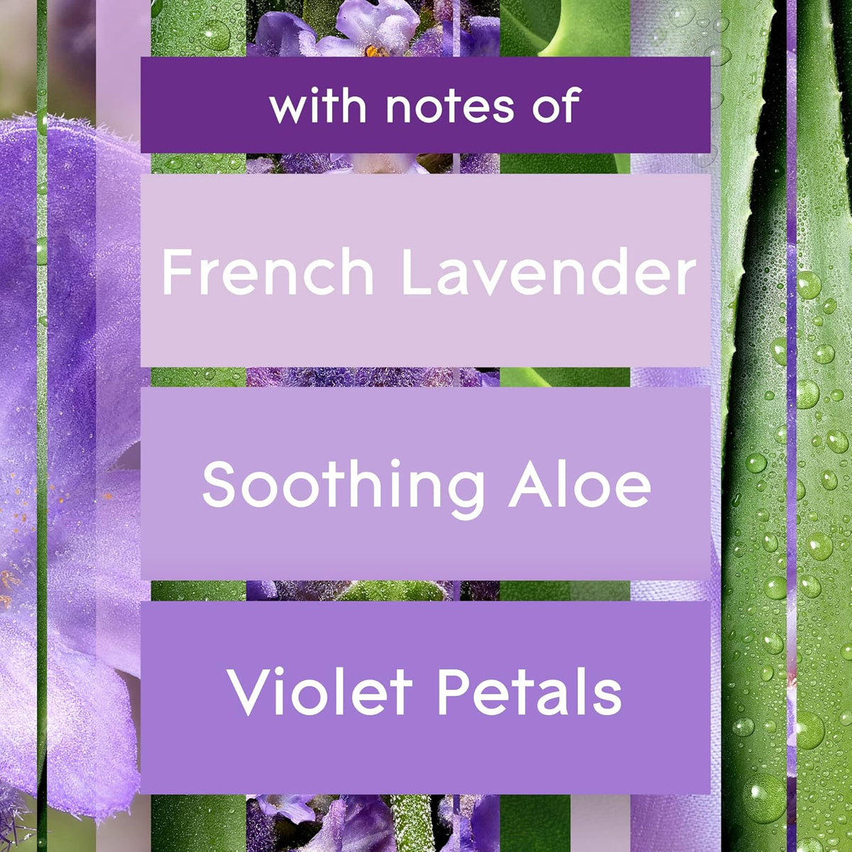 Glade PlugIns Refills Air Freshener, Tranquil Lavender & Aloe, Scented and Essential Oils for Home