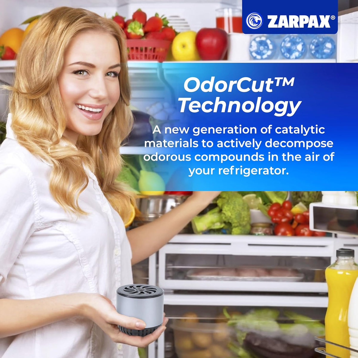Refrigerator Deodorizer - Single Pack - Fridge Smell Eliminator Lasts for 10 Years -18ft3 Capacity