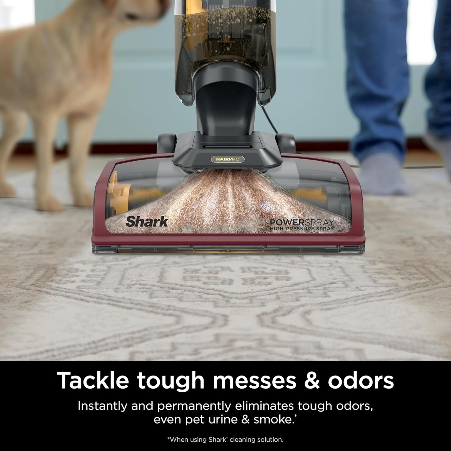 Shark CarpetXpert HairPro Upright Carpet Cleaner, Perfect for Pets, Lightweight & Powerful, Dirt