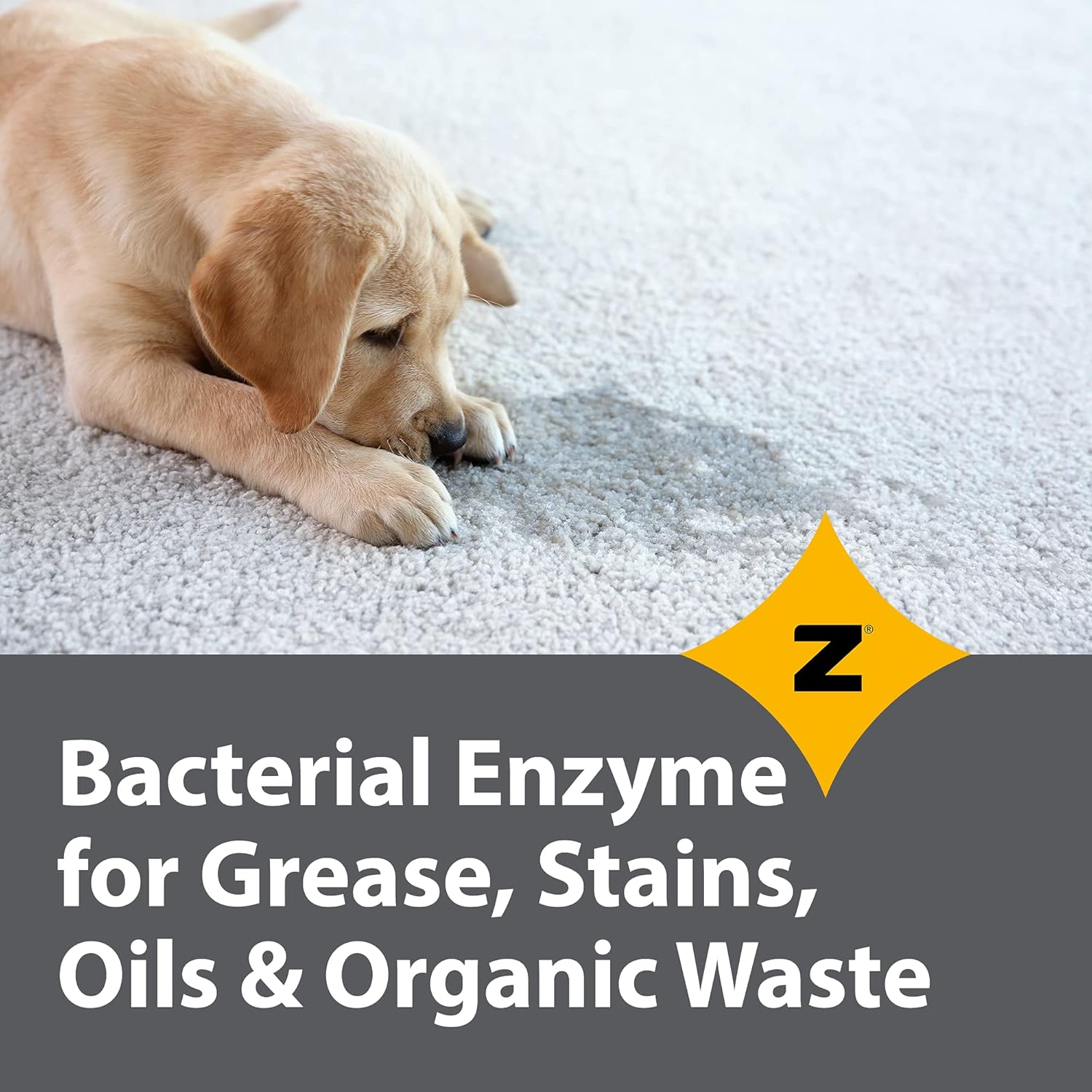 Pro-Grade Multi-Purpose Probiotic Enzyme Cleaner - Pet Stain and Odor Remover, Drain Cleaner