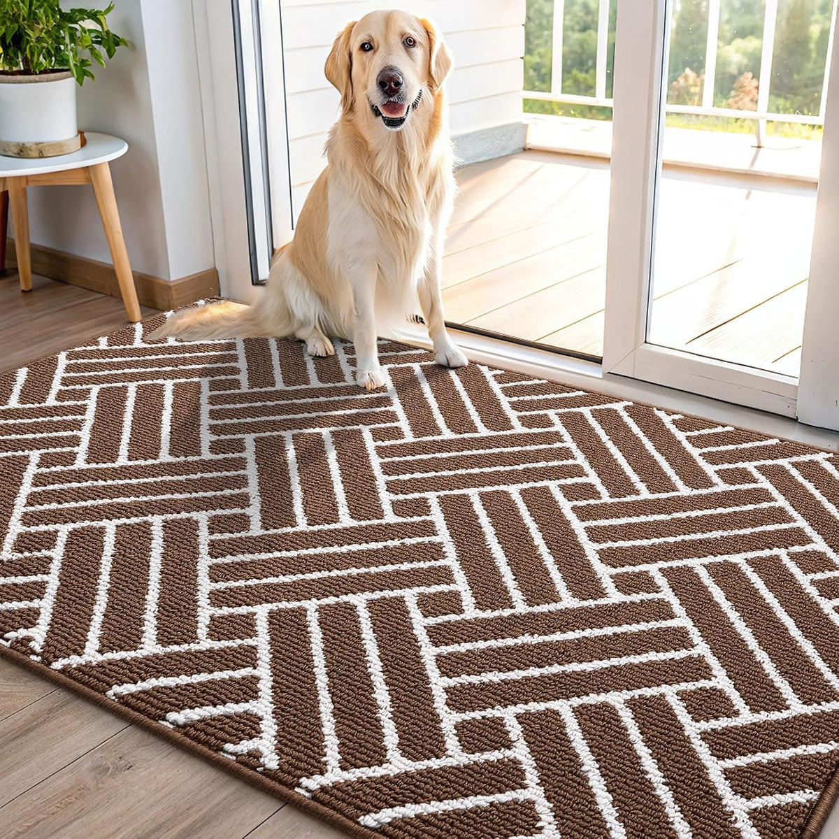 OLANLY Indoor Door Mat, 48x32 Inch, Dirt Resistant and Absorbent, Non-Slip Rubber Backing Floor