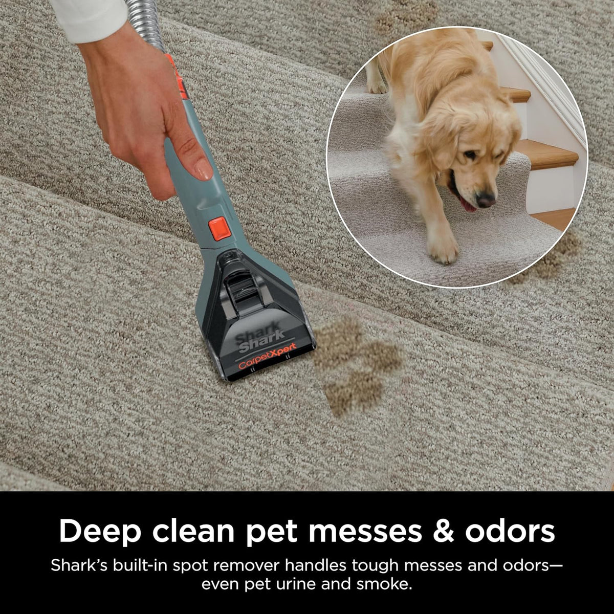 Shark CarpetXpert Upright Carpet, Area Rug & Upholstery Cleaner, Built-In Spot & Stain Remover & XL
