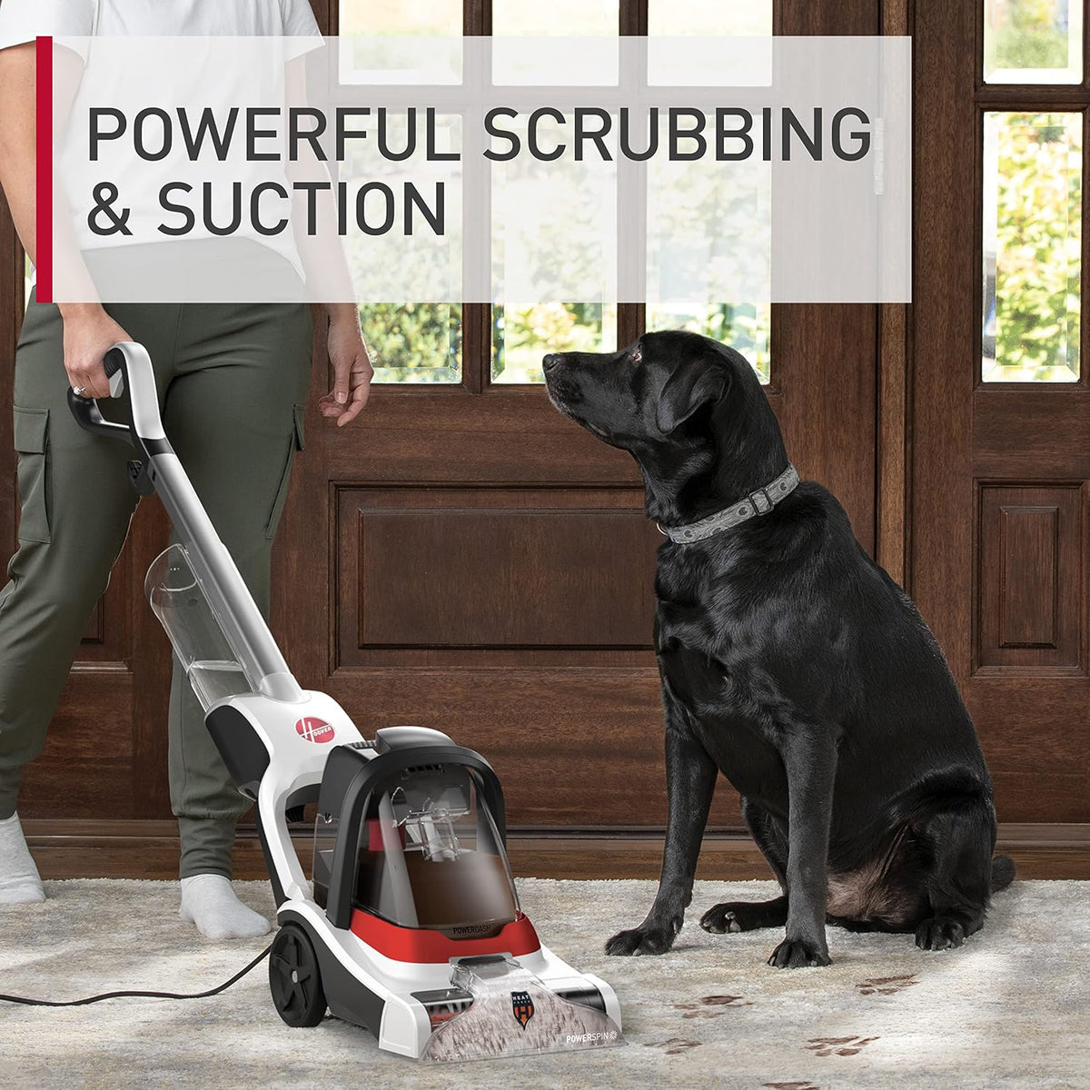 Hoover PowerDash Pet+ Compact Carpet Cleaner Machine, Lightweight Carpet Shampooer Machine