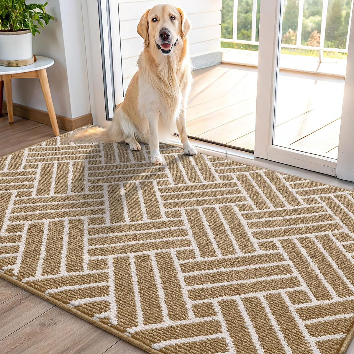 OLANLY Indoor Door Mat, 48x32 Inch, Dirt Resistant and Absorbent, Non-Slip Rubber Backing Floor