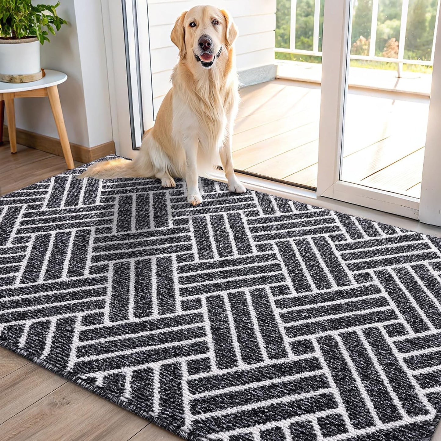 OLANLY Indoor Door Mat, 48x32 Inch, Dirt Resistant and Absorbent, Non-Slip Rubber Backing Floor