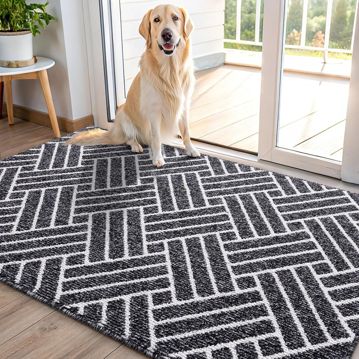 OLANLY Indoor Door Mat, 48x32 Inch, Dirt Resistant and Absorbent, Non-Slip Rubber Backing Floor