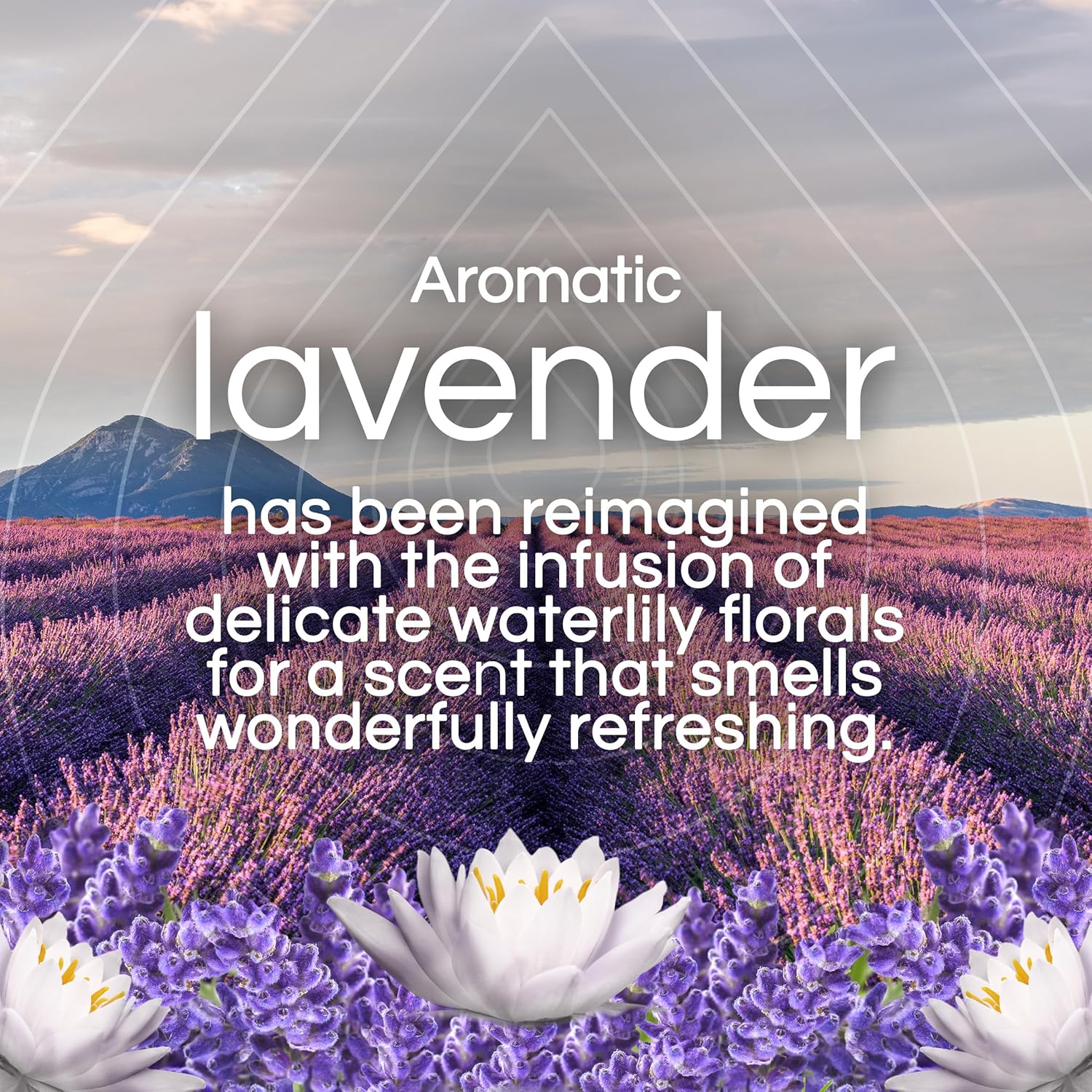 Air Wick Plug in Scented Oil Refill, 5ct, Lavender & Waterlily, Air Freshener, Essential Oils