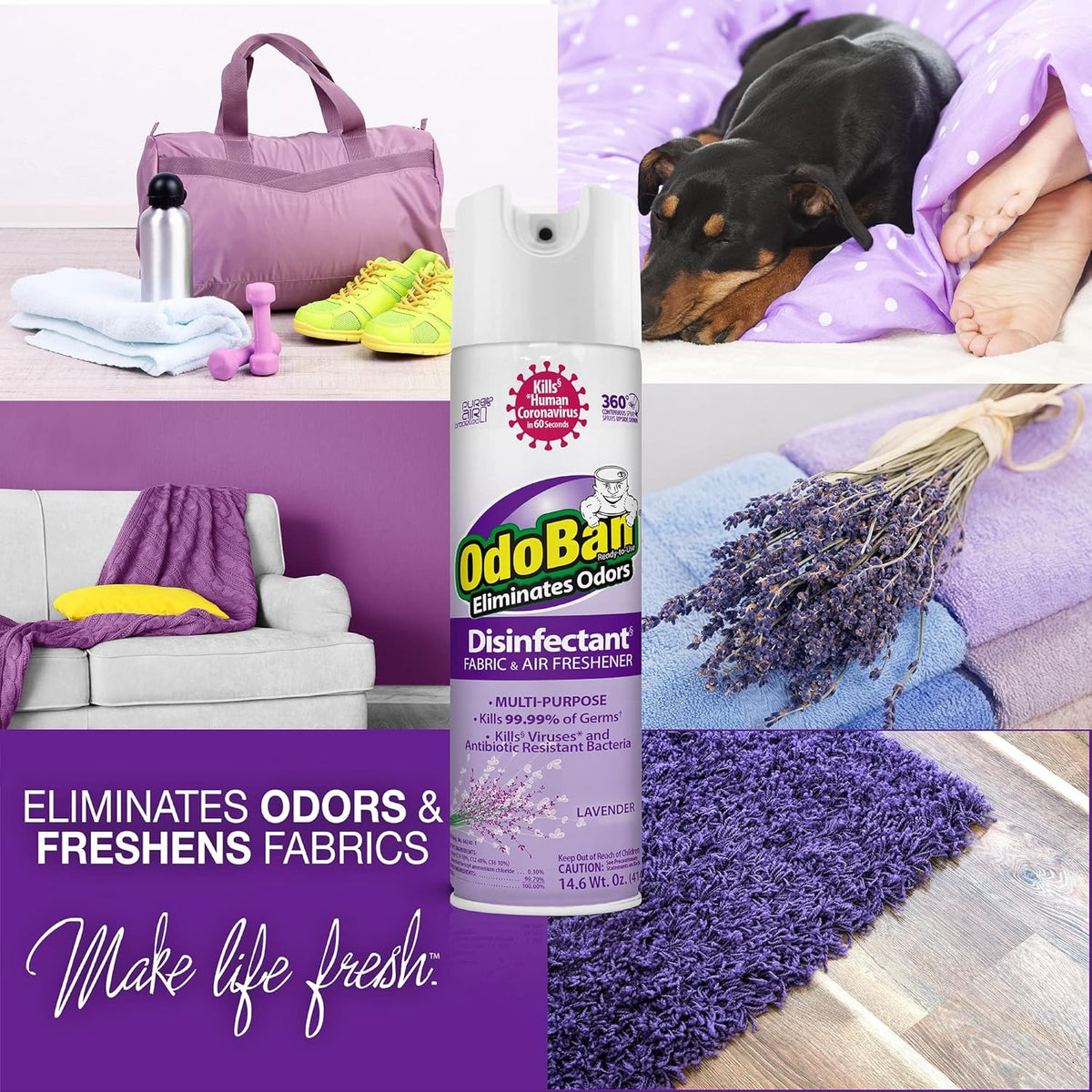OdoBan Ready-to-Use Disinfectant and Harsh Aroma Eliminator, Cleaner and Fabric/Air Freshener, Set