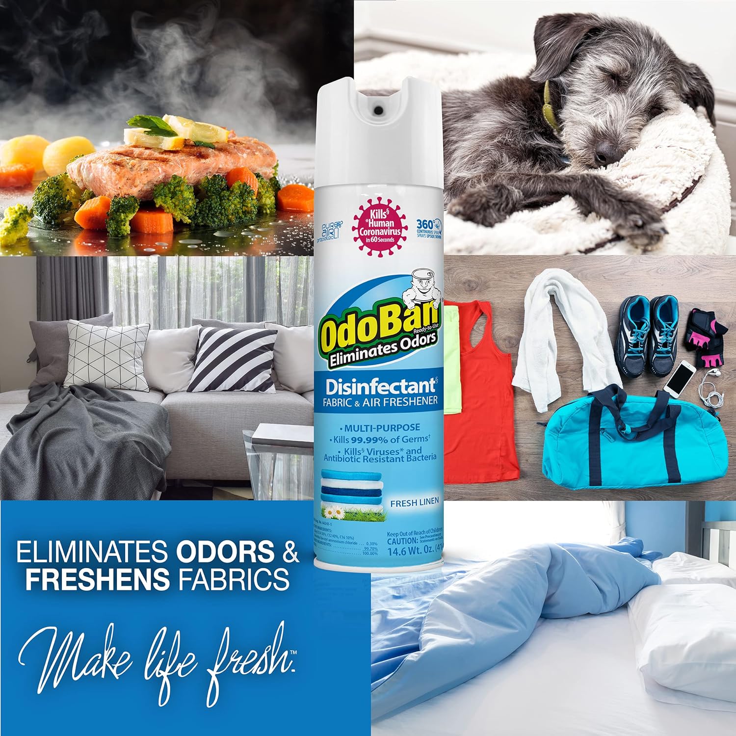 OdoBan Ready-to-Use 360-Degree Continuous Spray Disinfectant and Harsh Aroma Eliminator, Fabric and