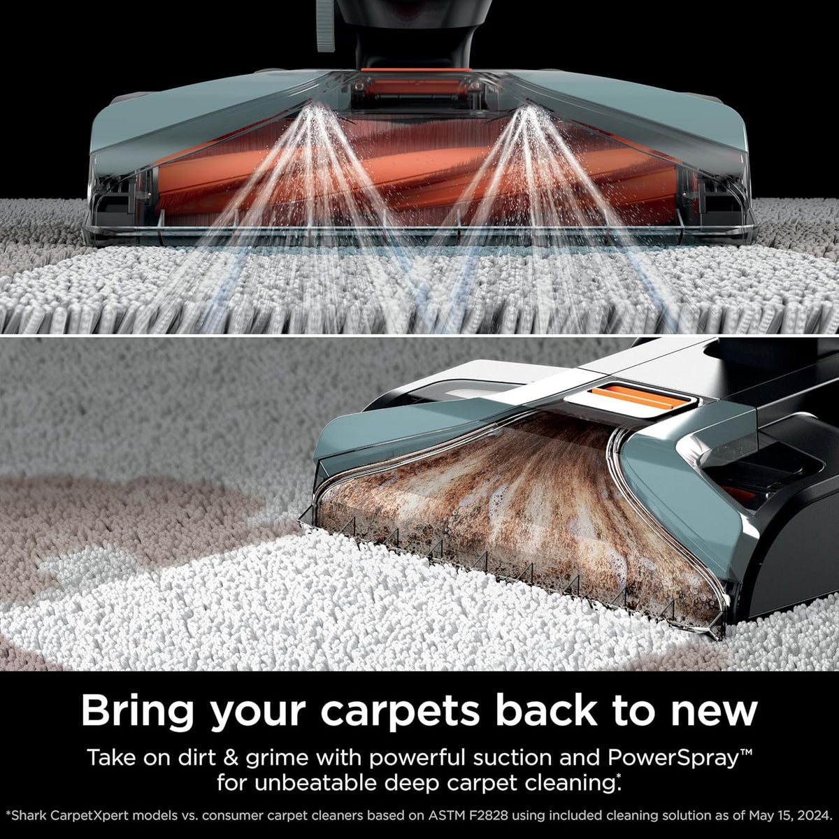 Shark CarpetXpert Upright Carpet, Area Rug & Upholstery Cleaner, Built-In Spot & Stain Remover & XL