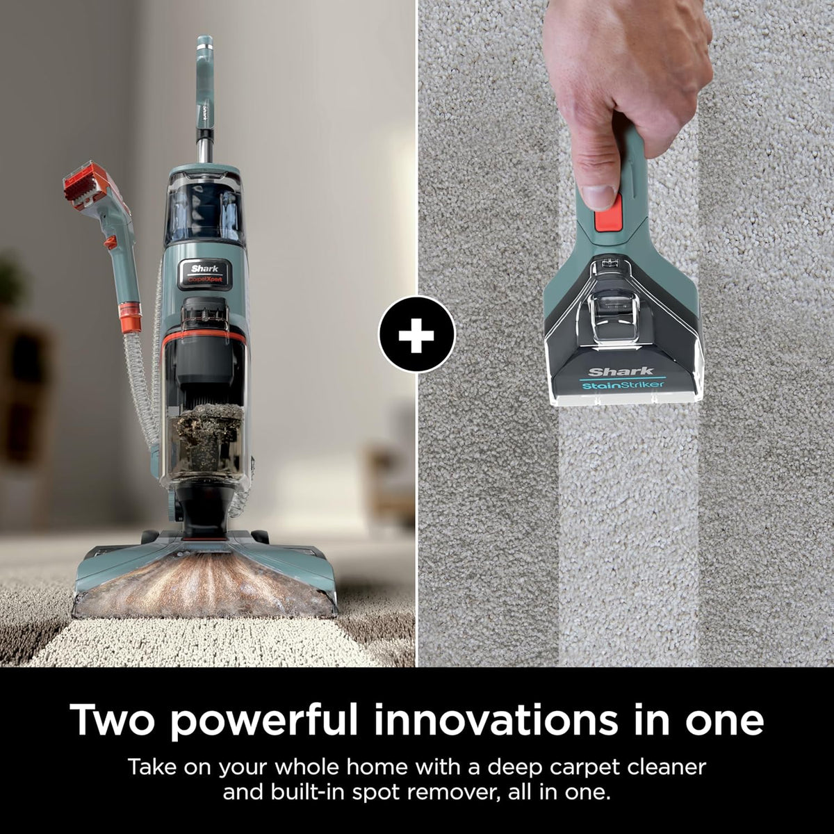 Shark CarpetXpert Upright Carpet, Area Rug & Upholstery Cleaner, Built-In Spot & Stain Remover & XL