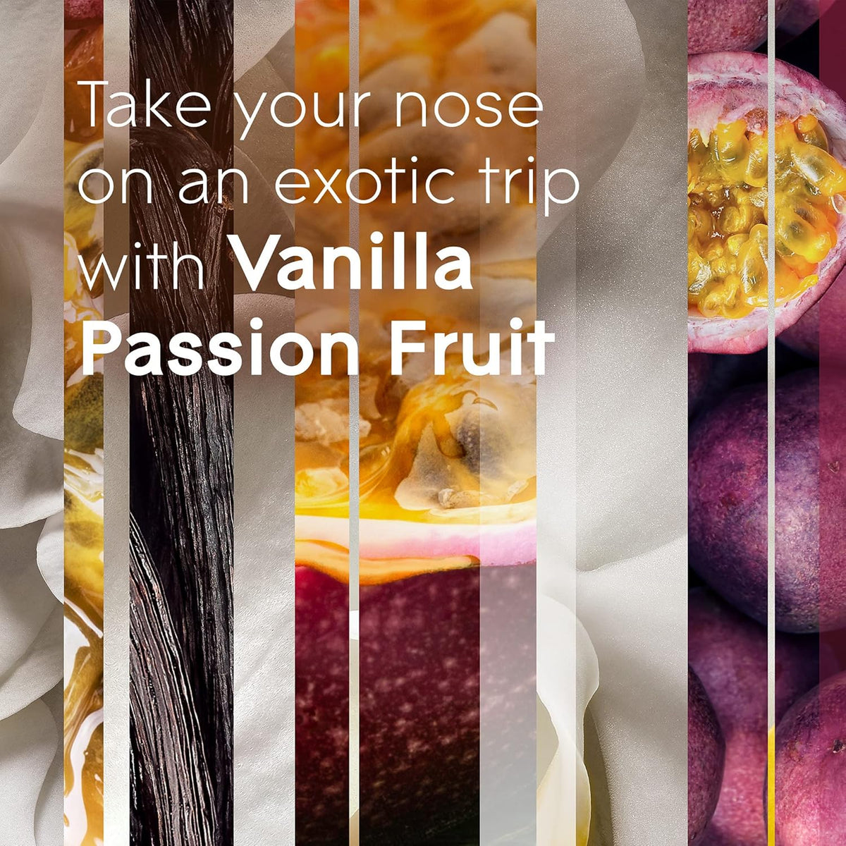 Glade PlugIns Refills Air Freshener, Vanilla Passion Fruit, Scented and Essential Oils for Home and